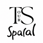logo minimalista ts our con firma spacal